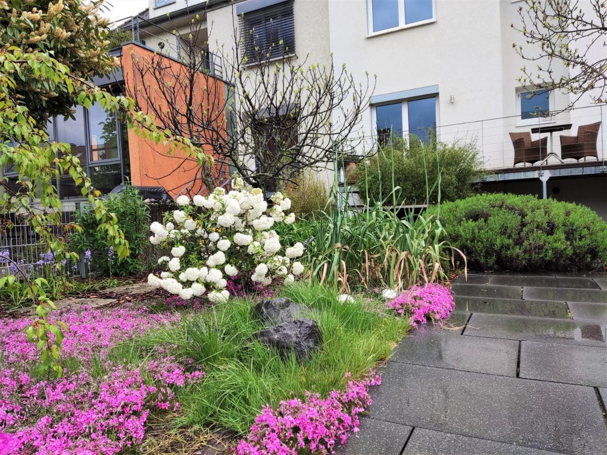 Zen Apartment - Spacious - Garden - Kitchen Karlsruhe Zewnętrze zdjęcie